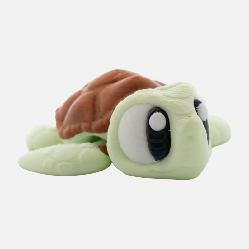3D Printed Sea Turtle “Spot” – Articulated Ocean Fidget Toy - Image 5